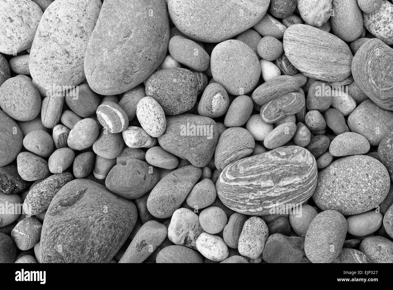Pebbles on beach vancouver island hires stock photography and images