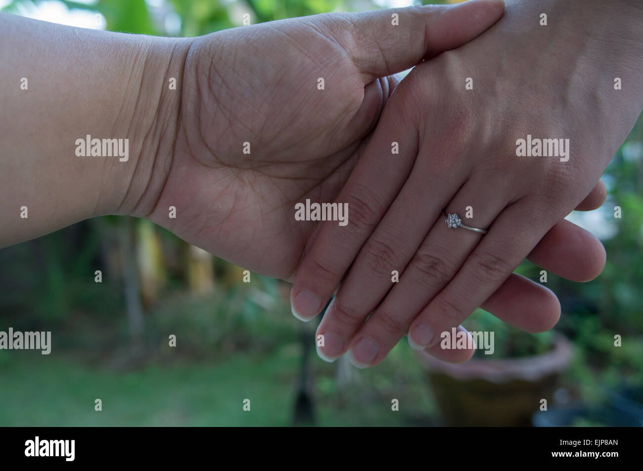 love hand hold ring marry marriage finger Stock Photo Alamy
