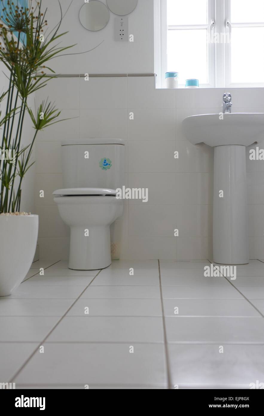 White tiled floor and walls bathroom white suite sink  chrome toilet cistern house plant tiled walls new house builder build Stock Photo