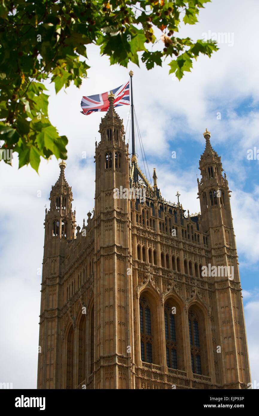 framed by sycamore tree leaves Cambridge Church Tower flying Union Jack flag United Kingdom Victoria Tower Charles Barry Stock Photo