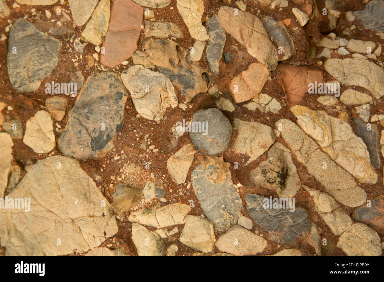 Leesburg conglomerate, sedimentary rock, Leesburg Virginia, this rock was used to make the columns in the statue room at the US  Stock Photo