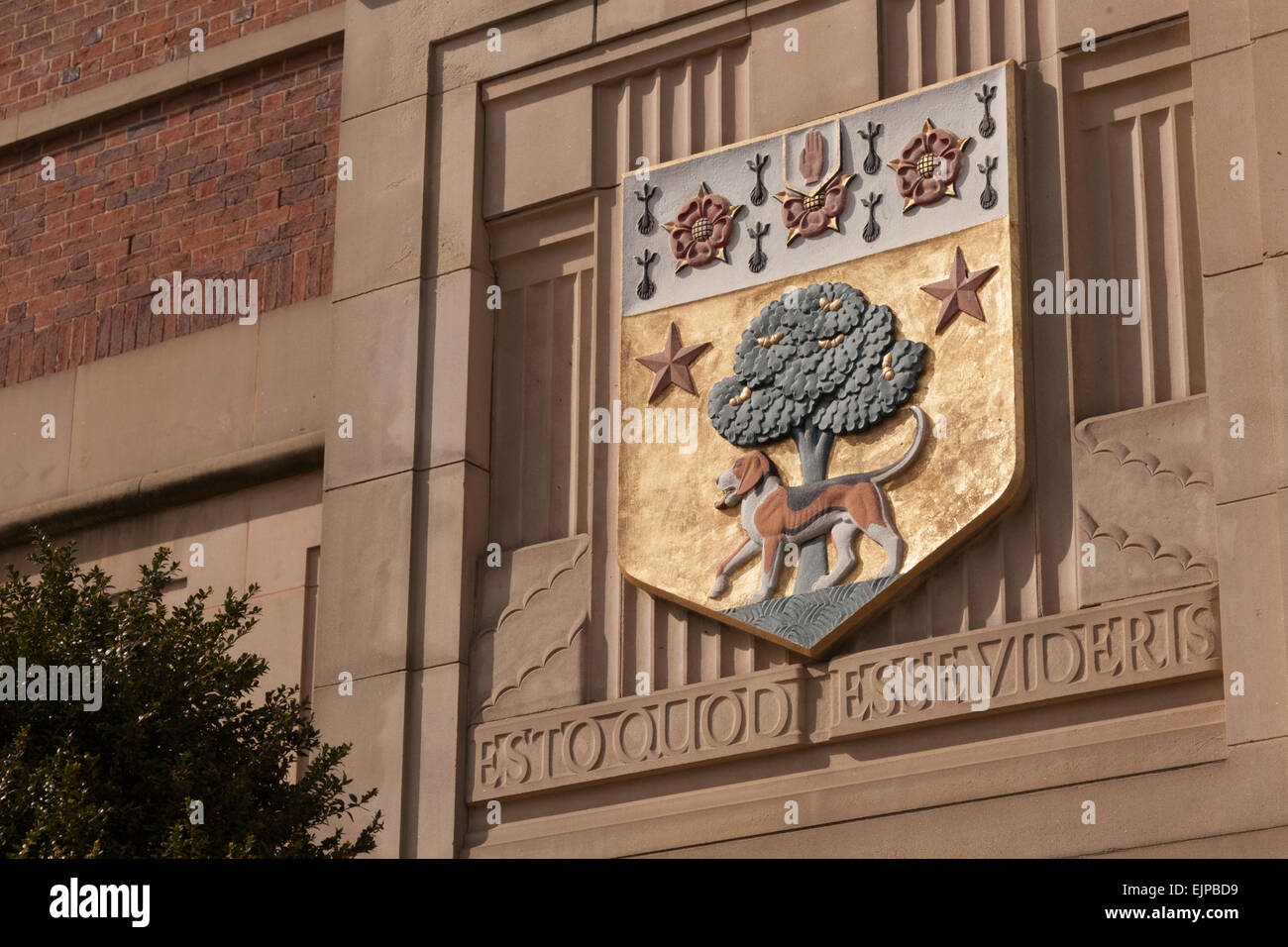 The Barber Institute of Fine Arts, Birmingham University, UK Stock