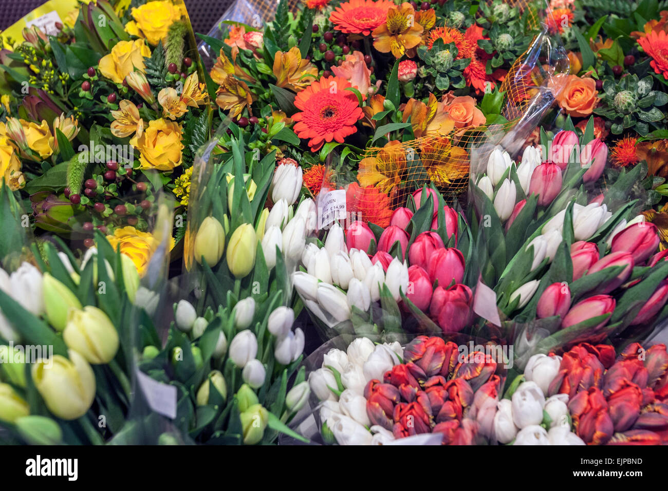 Colorful tulips in a flowers and bulbs shop in Amsterdam Airport Schiphol Stock Photo Alamy