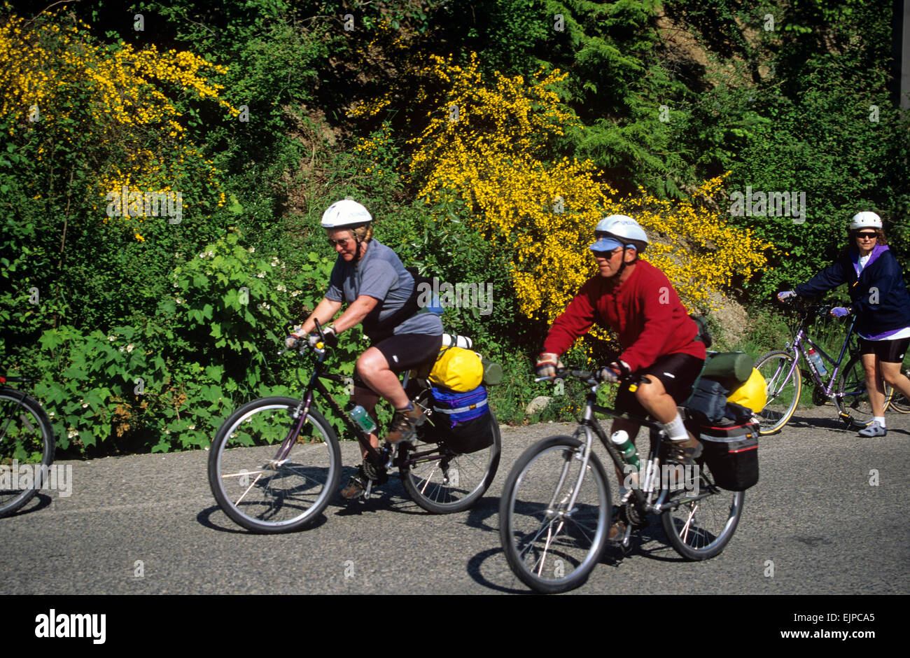 Cycling is the preferred mode of transportation on Lopez Island, San Juan Islands, Washington, USA. Stock Photo