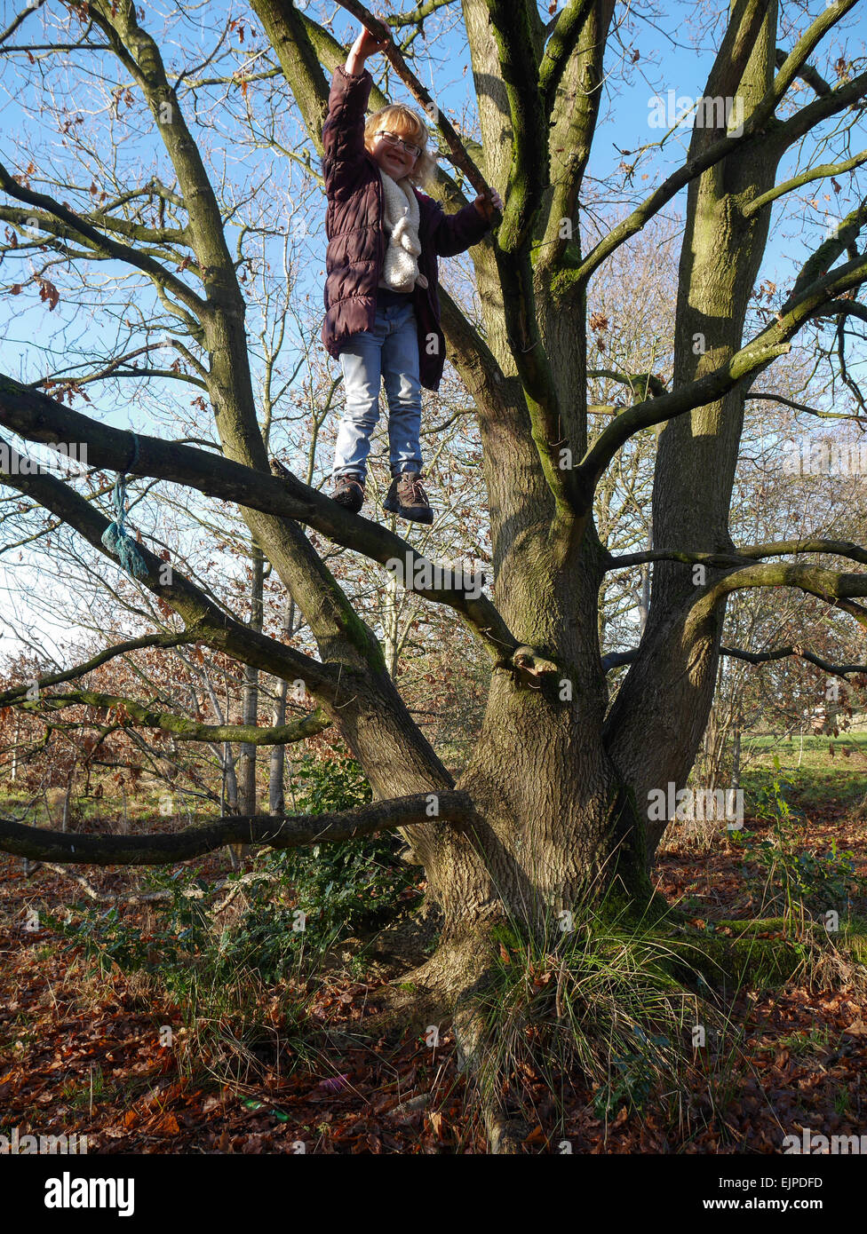 Young girl climbing a tree Stock Photo