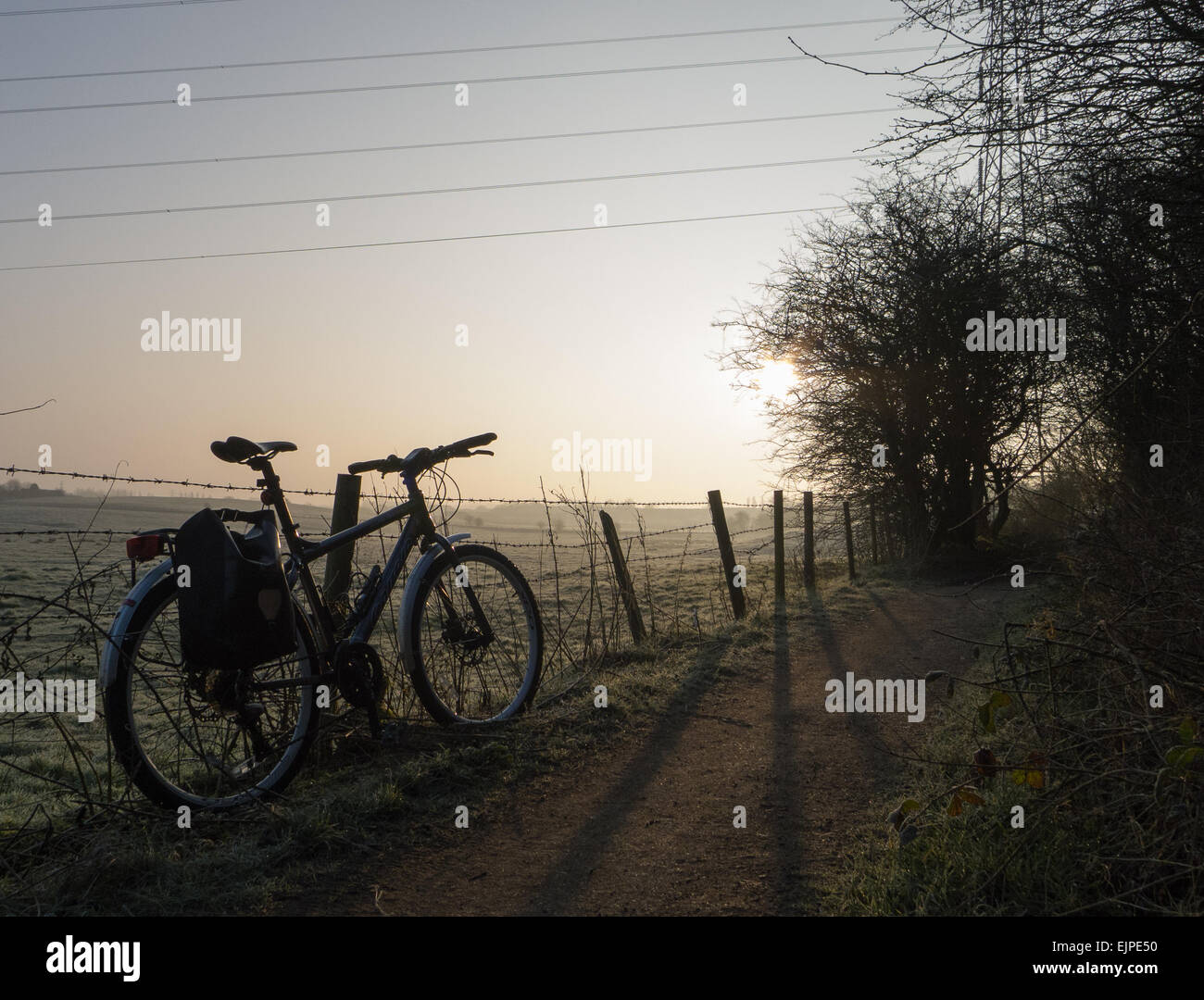 Early morning cycling Stock Photo