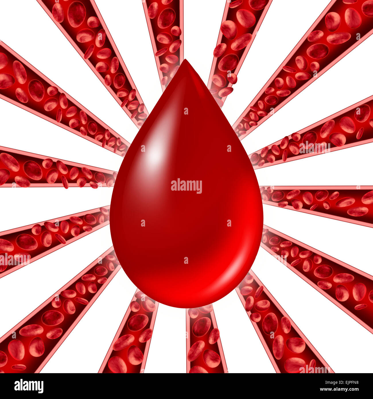 Blood donation symbol as red cells flowing through veins and human circulatory system with a group of arteries shaped as a starburst pattern representing a cardiovascular medical health care symbol. Stock Photo