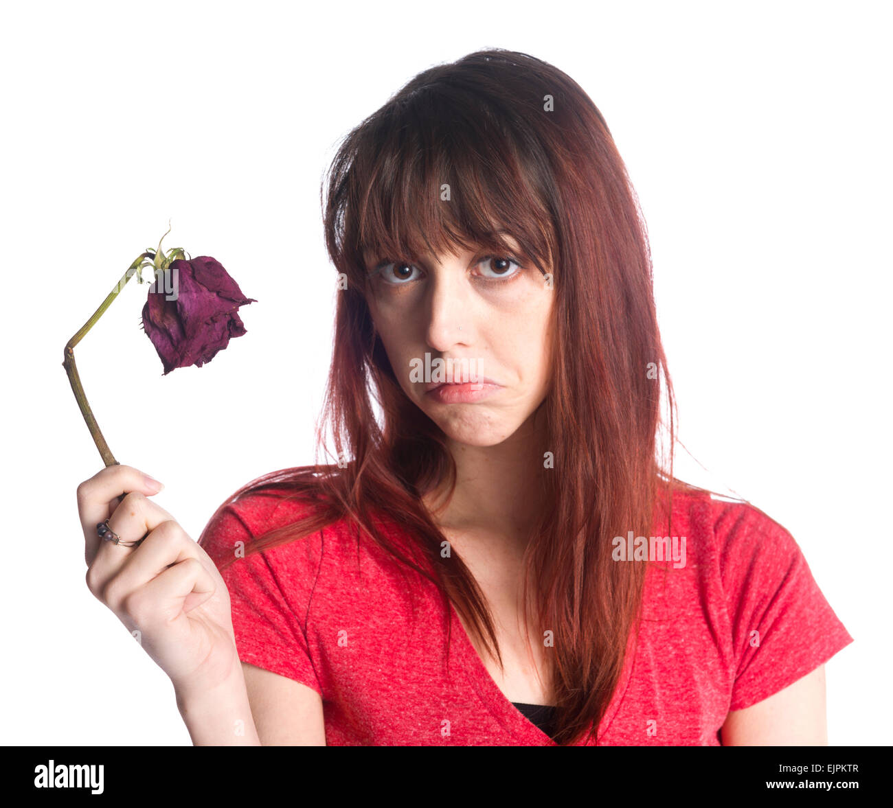 Close up Sad Woman Holding Dead Rose Flower Stock Photo