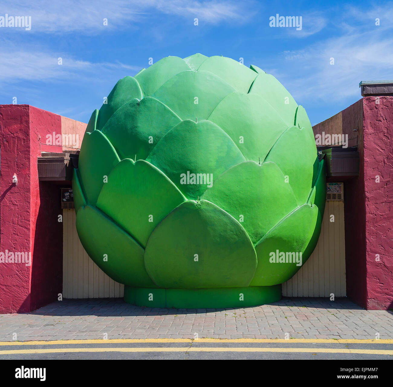 Castroville artichokes hires stock photography and images Alamy