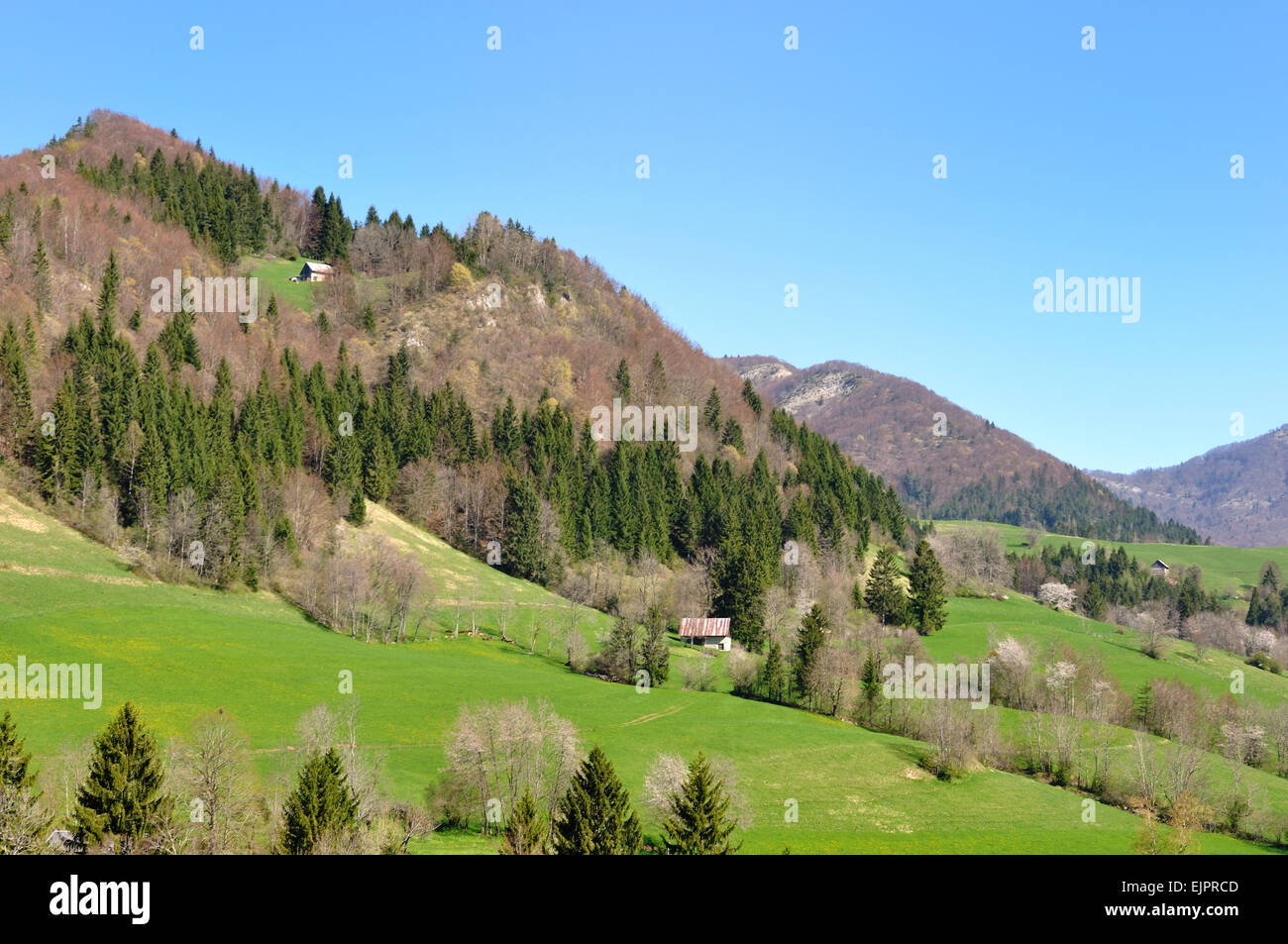 hills in greenery landscape with a house under blue sky Stock Photo
