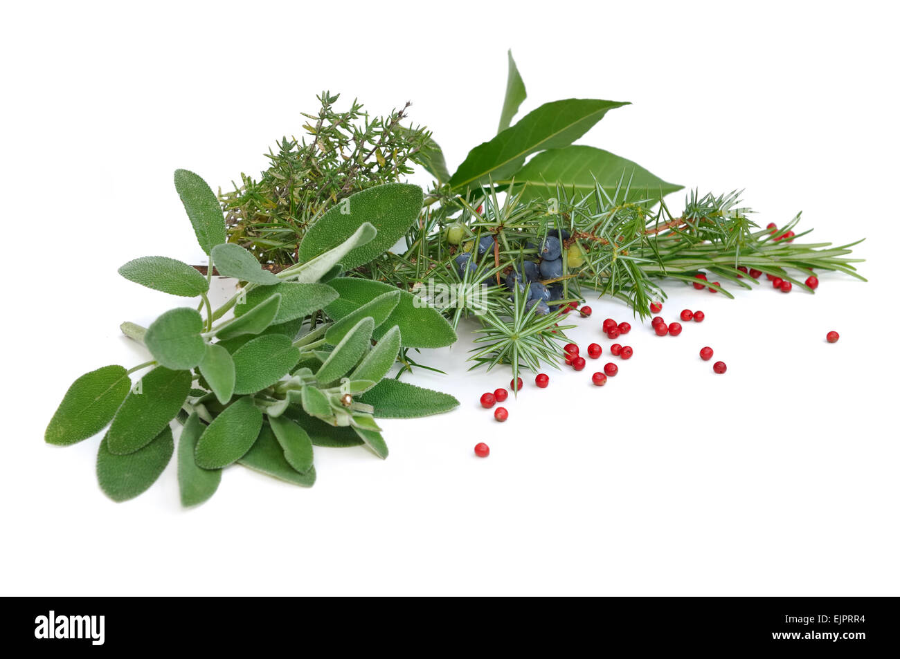 various herbs with red berries on white background Stock Photo Alamy
