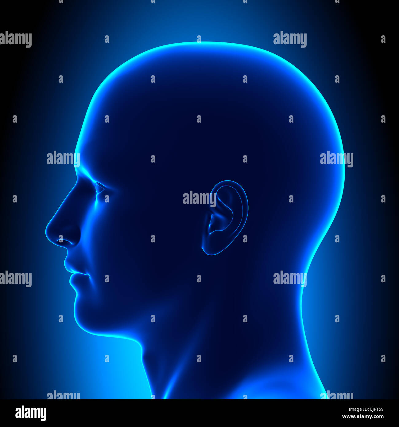 Anatomy Head Side View Blue concept Stock Photo Alamy