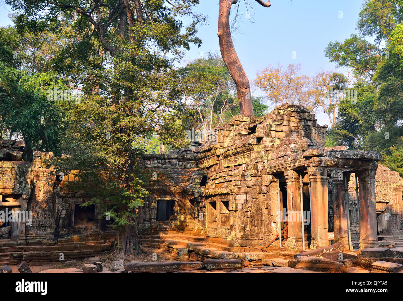 Ta Prohm temple in Angkor Wat, Siem Reap Cambodia. It is also known as jungle temple. Its one of the famous temple in Cambodia. Stock Photo