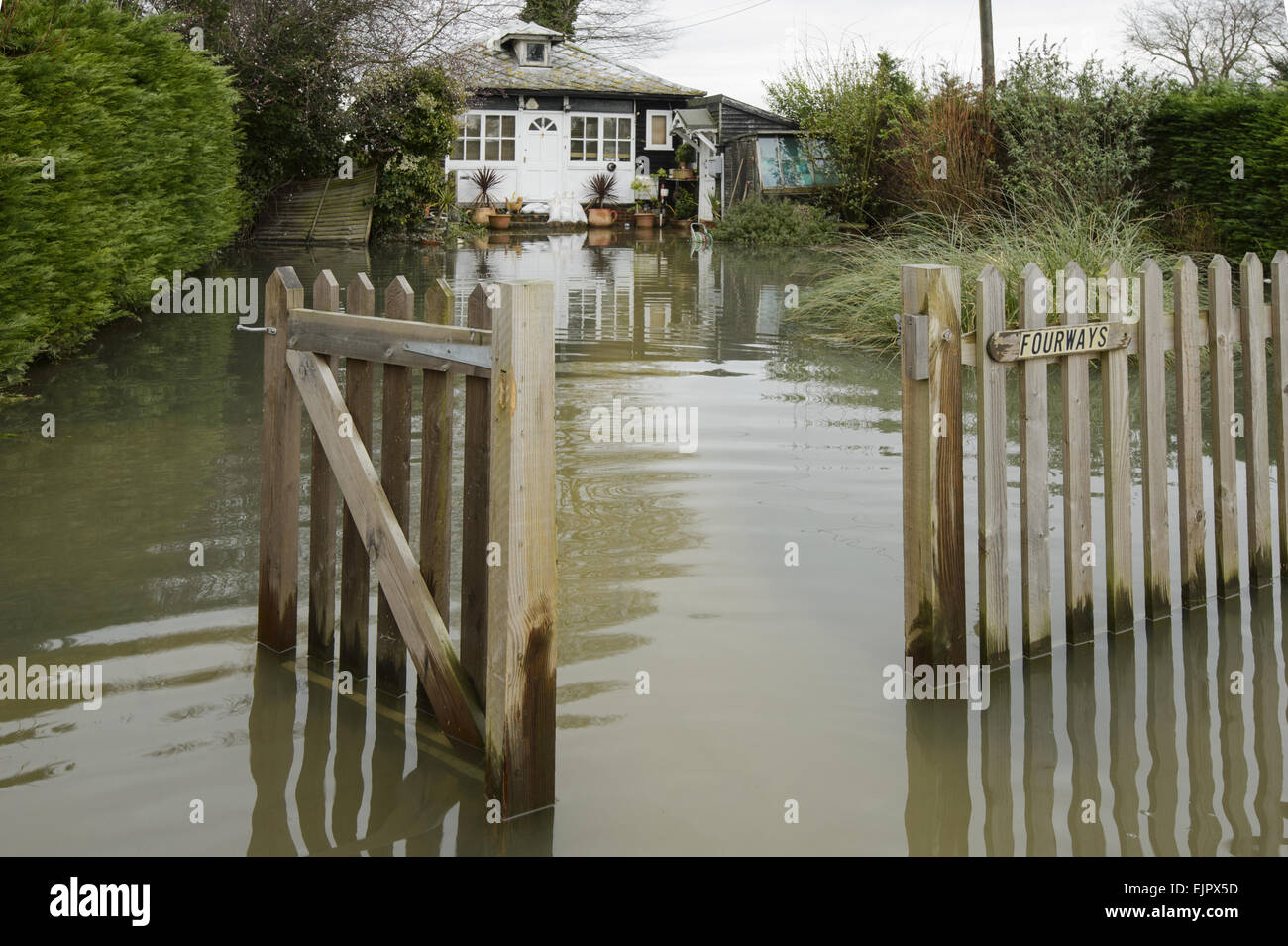 Floodwater in house garden during river flood, River Thames, Chertsey, Surrey, England, February 2014 Stock Photo