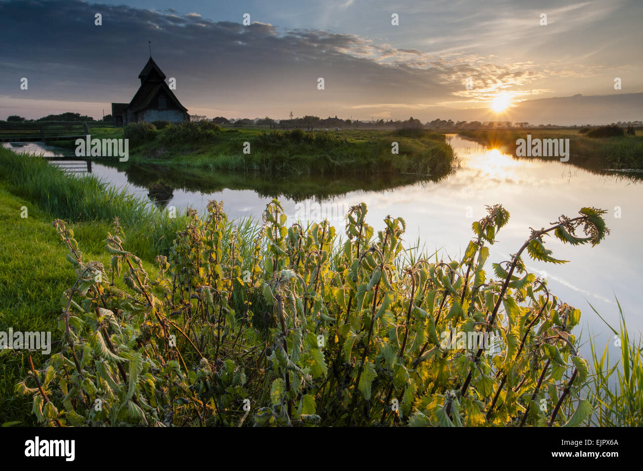 View of grazing marsh with Stinging Nettle (Urtica (Urtica dioica) patch and church beside flooded ditch at sunset, St. Thomas a Becket Church, Fairfield, Walland Marsh, Romney Marsh, Kent, England, May Stock Photo