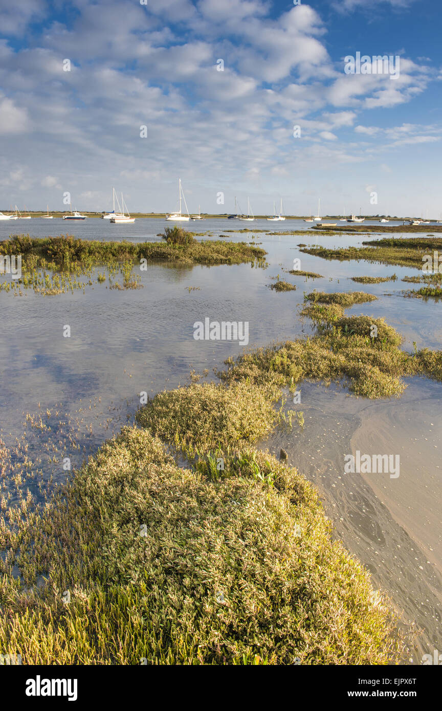Tidal estuary norfolk hi-res stock photography and images - Alamy