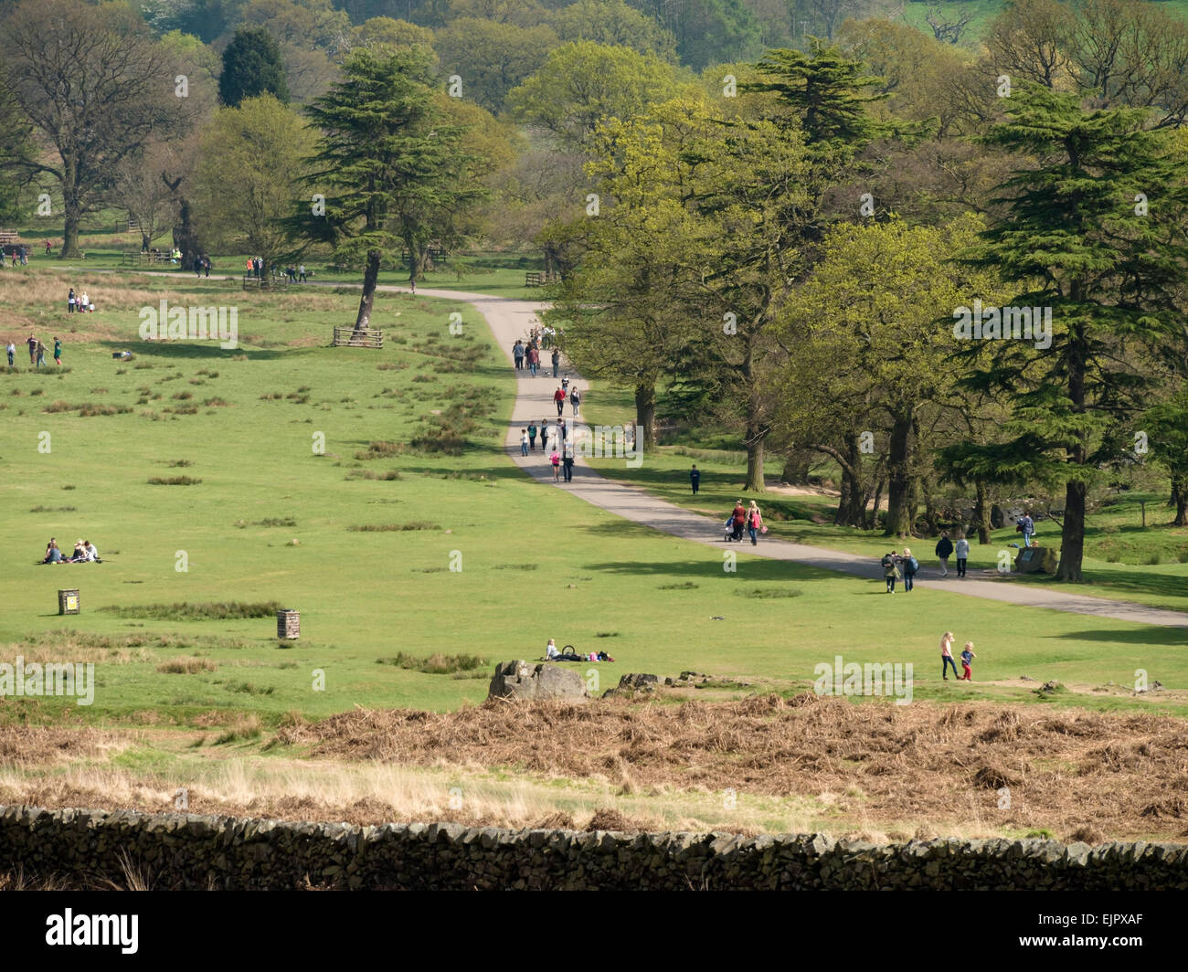Walkers in Bradgate Park, Leicestershire, England, UK. Stock Photo