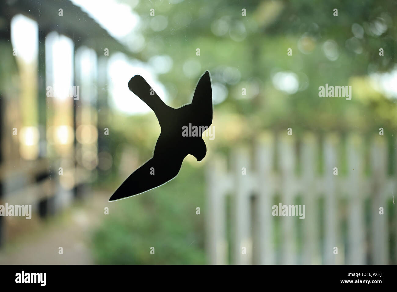 Bird deterrent 'falcon' on window, to prevent birds colliding into