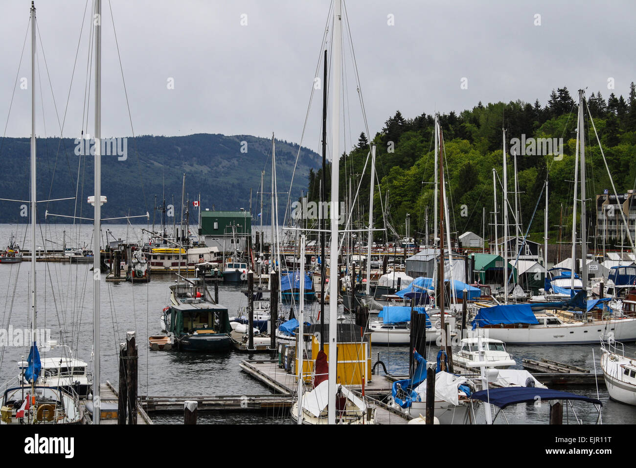 Cowichan Bay near Duncan, on Vancouver Island in British Columbia. Stock Photo