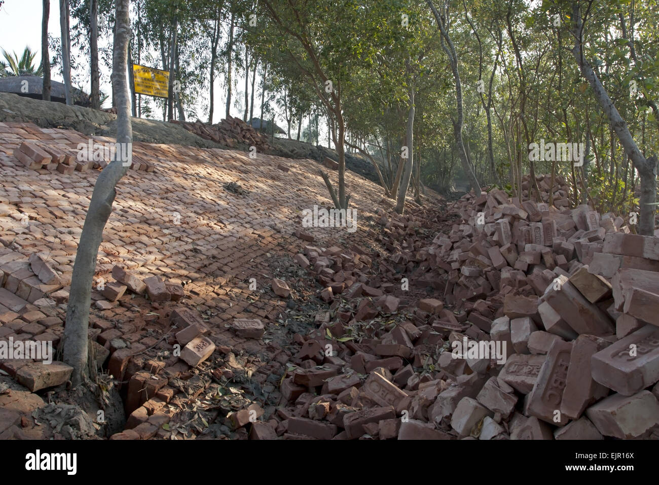 Bricks used for flood defence repairs, Sundarbans, Ganges Delta, West Bengal, India, March Stock Photo