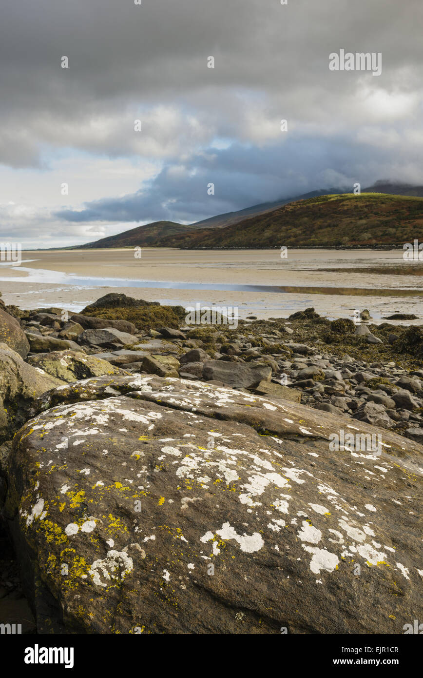 Lichen covered rock and beach at low tide, Cloghane, Dingle Peninsula, County Kerry, Munster, Ireland, November Stock Photo