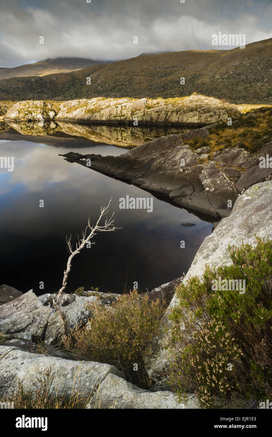 View of rocky lake shore, Upper Lake, Lakes of Killarney, Killarney N.P