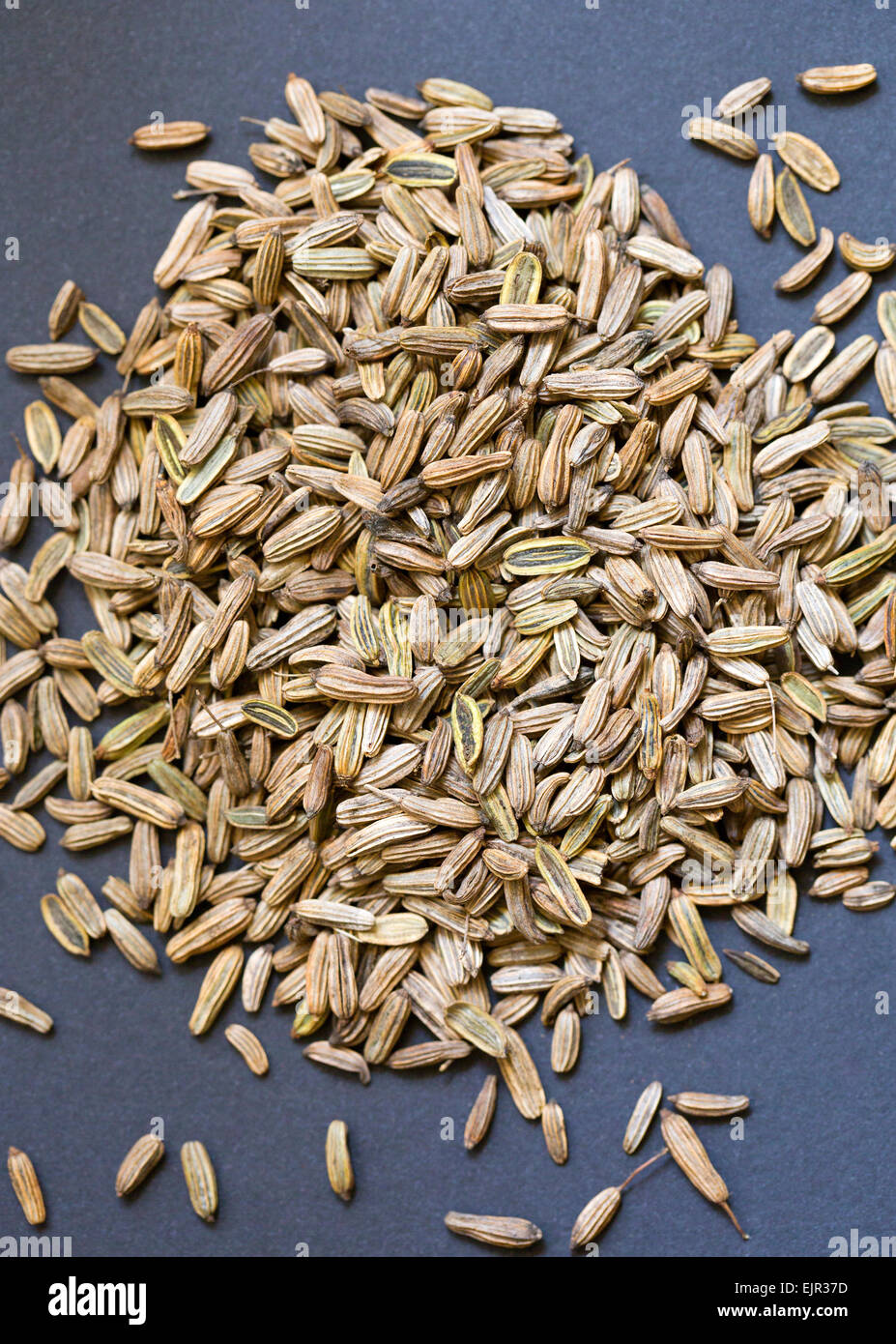 Fennel seeds (Foeniculum vulgare), whole Stock Photo