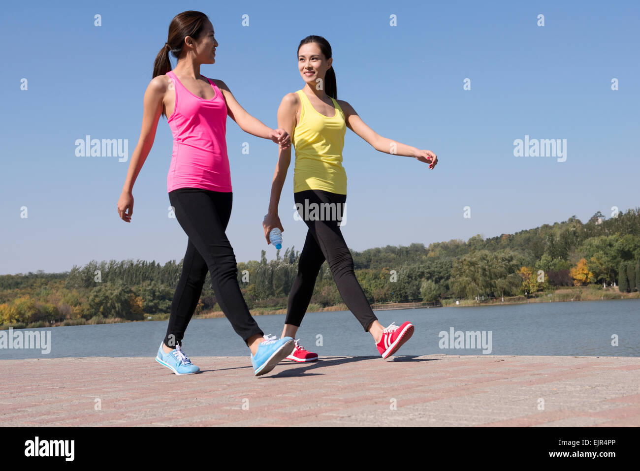 Girlfriends exercising together Stock Photo