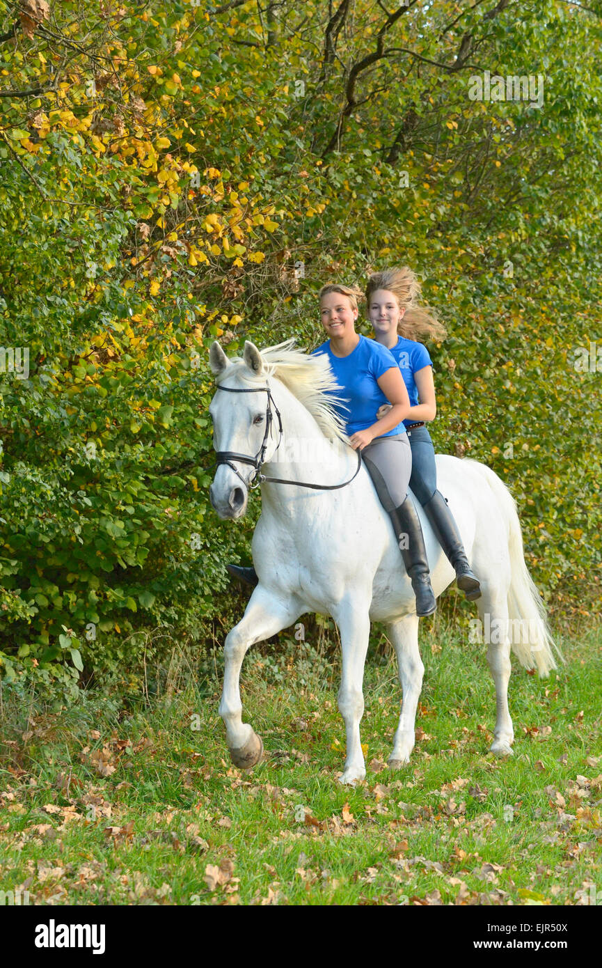 Two young riders sitting together on back of a Bavarian horse galloping in a meadow Stock Photo