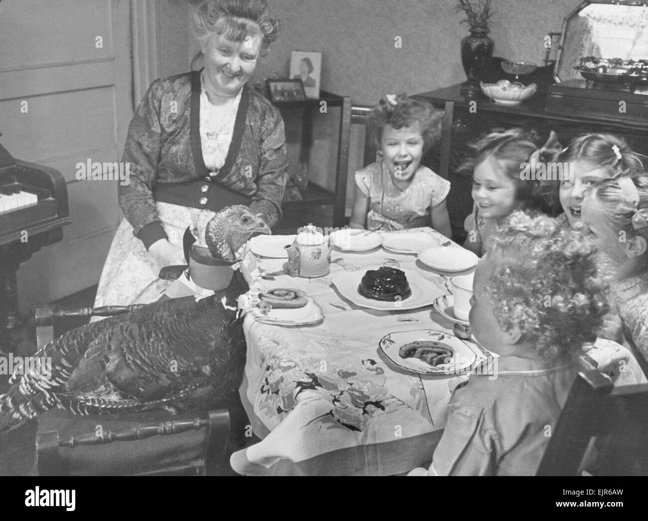 A year ago Mrs Jeffrey of Old Lodge Purley Surrey bought a turkeys egg to satisfy a broody hen. The hen hatched off the turkey which was named Lesley. Our Picture Shows : Lesley's first birthday party with tea, cakes, swiss roll and jelly, laid on for all the family. 31st May 1948 *** Local Caption *** watscan - - 28/01/2010 - - Stock Photo