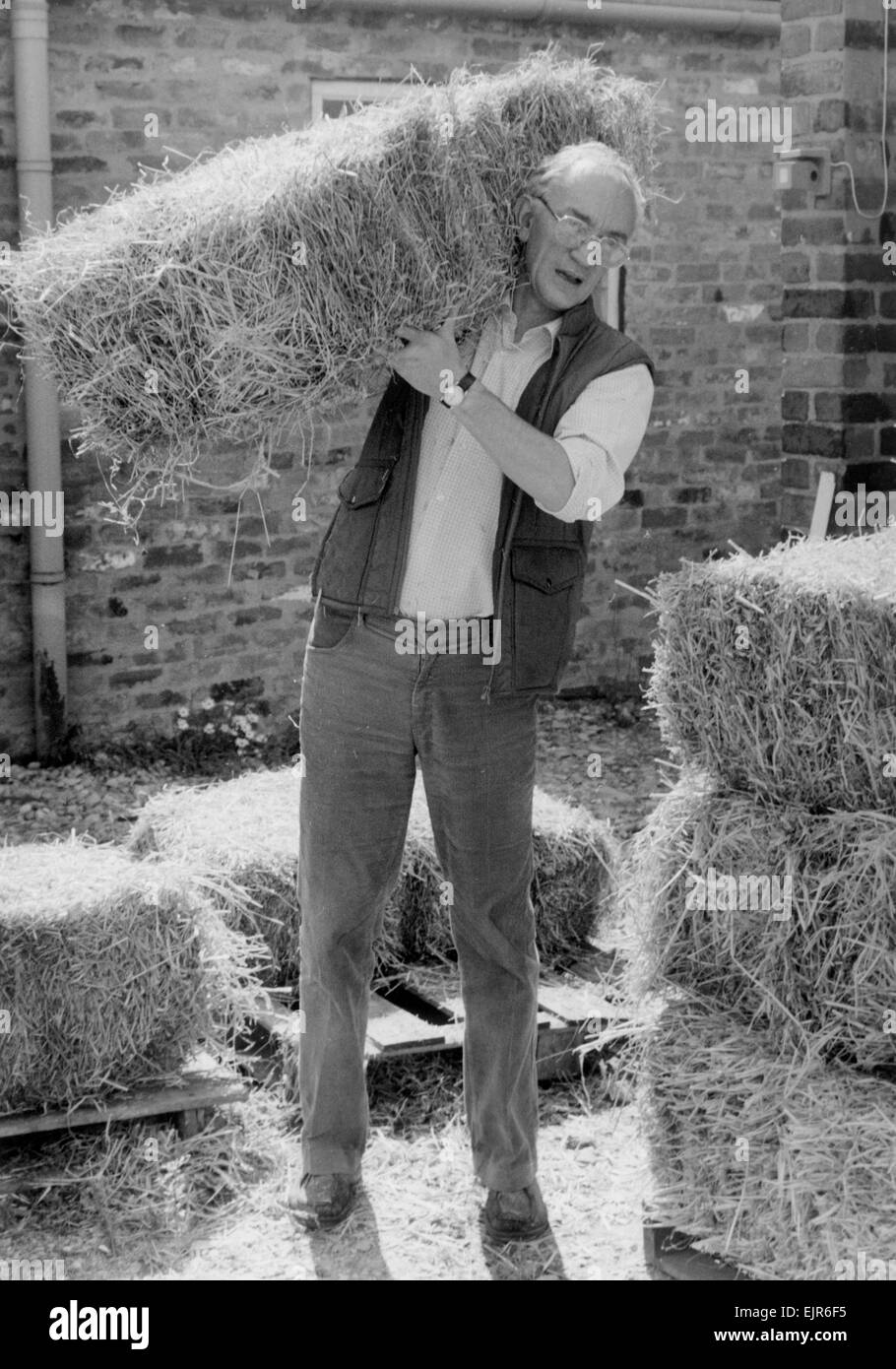Manchester deputy police chief John Stalker, head of the Stalker inquiry, an investigation into the shootings of a number of memebers of the Provisional Irish Republican Army, photographed bailing hay at his smallholding near Warburton, Cheshire shortly after being exhonerated from a series of charhes of professional misconduct and serving a three month suspension. 24th August 1986. Stock Photo