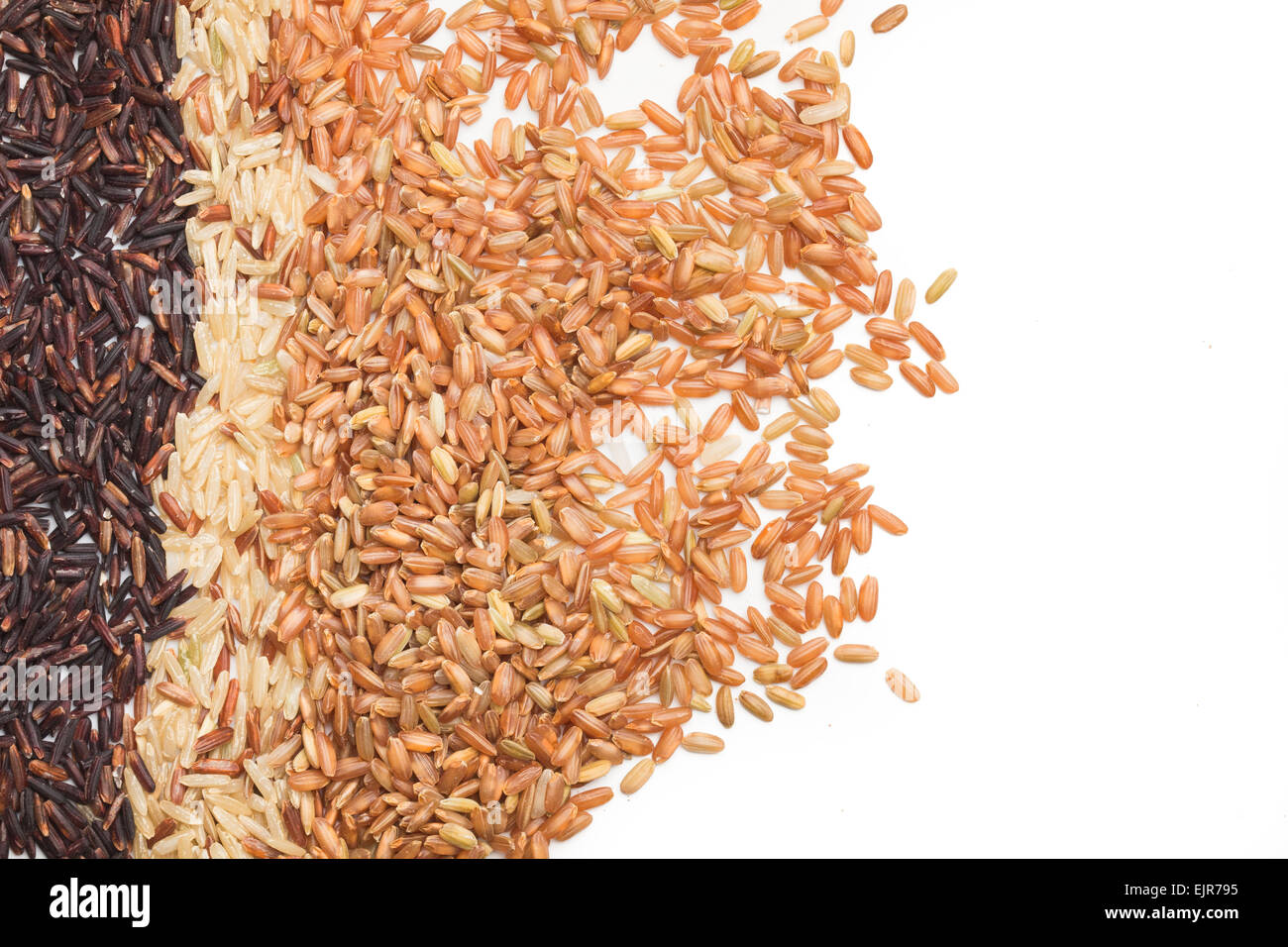 Three variety kinds of brown rice, black ,yellow and brown with copy space Stock Photo