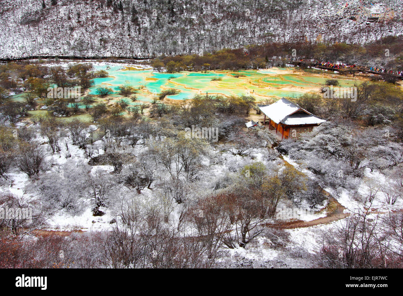Huanglong Top Area green pond in winter snow season, Sichuan, China Stock Photo