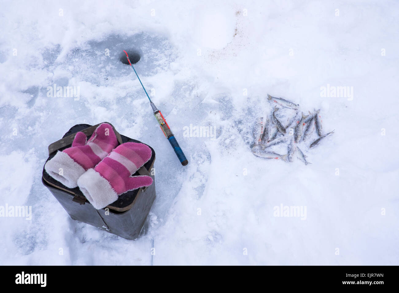 Mittens, fishing pole and fresh catch at ice fishing hole Stock Photo