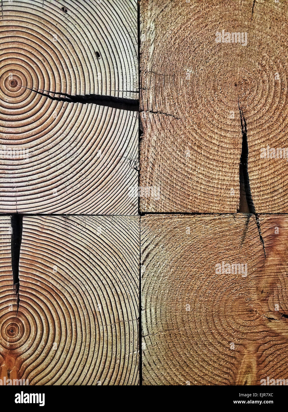 Close up of tree rings in wood logs - Smartphone Captured Stock Image