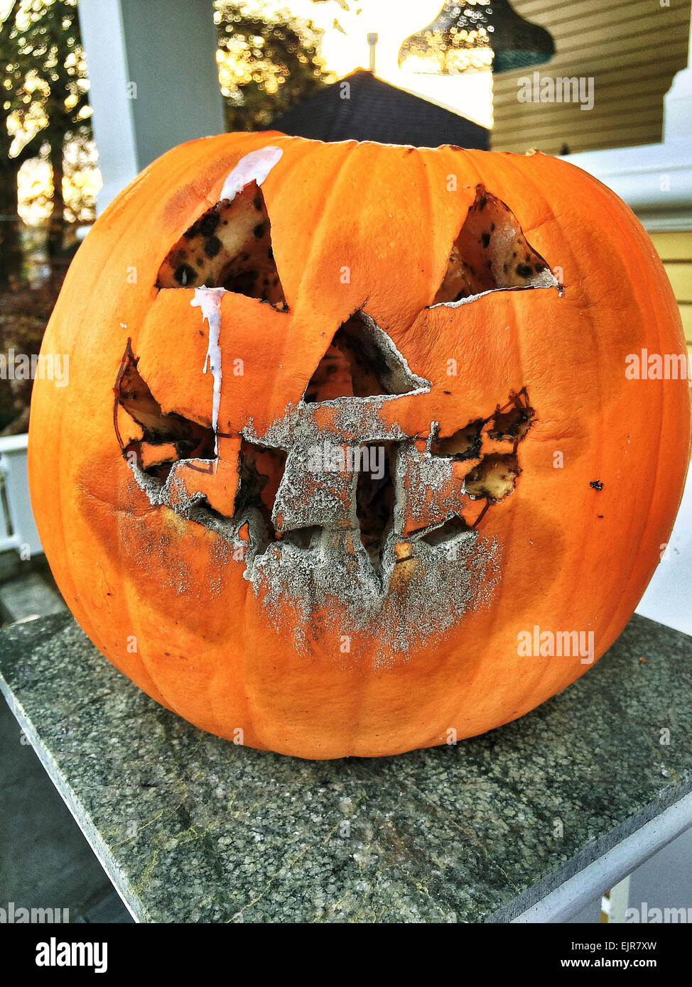 Close up of molding jack-o-lantern pumpkin face - Smartphone Captured Stock Image