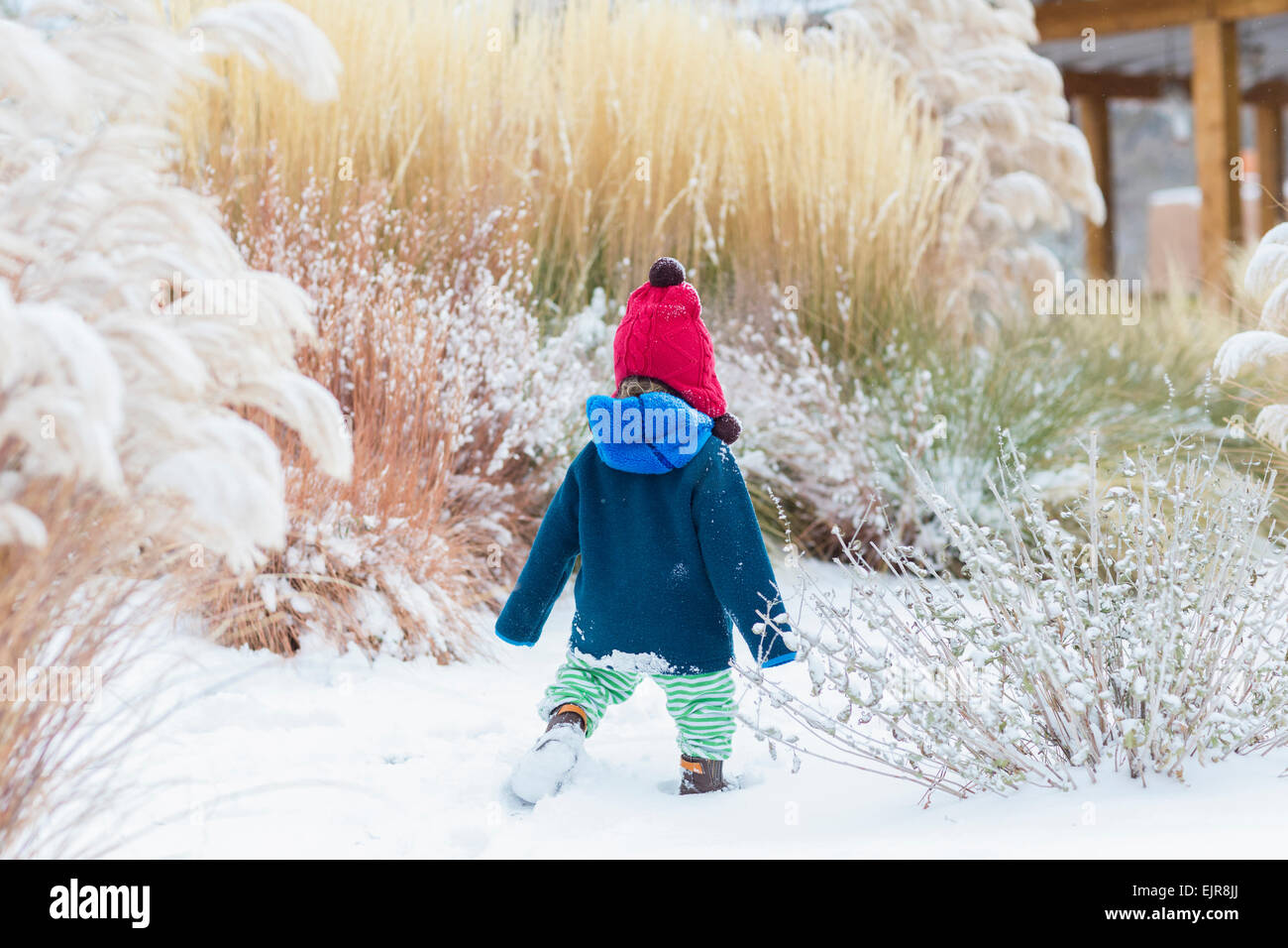 Caucasian baby boy walking in snowy garden Stock Photo