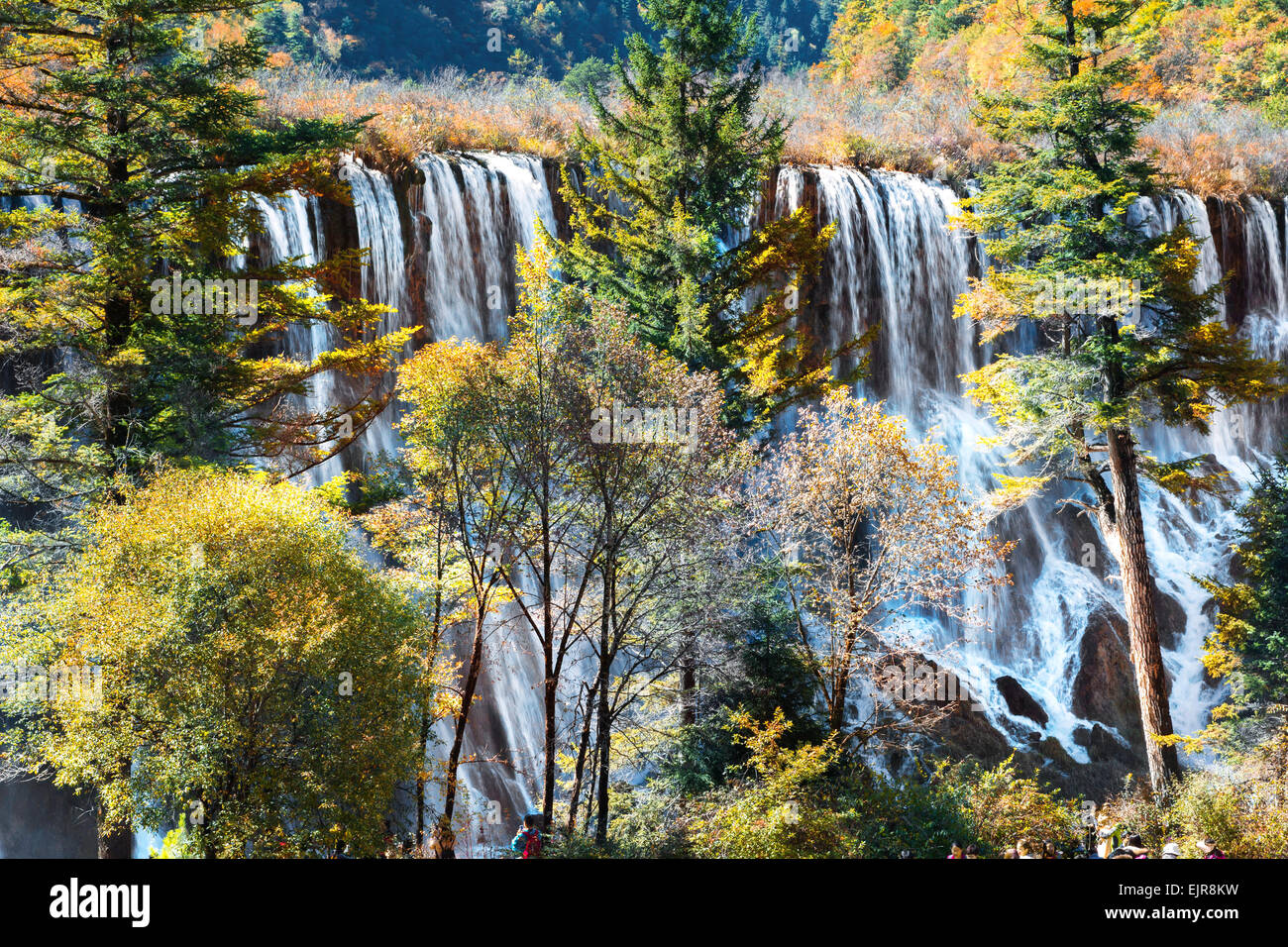 Nuorilang Waterfall in Jiuzhaigou National Park scenery spot Stock Photo