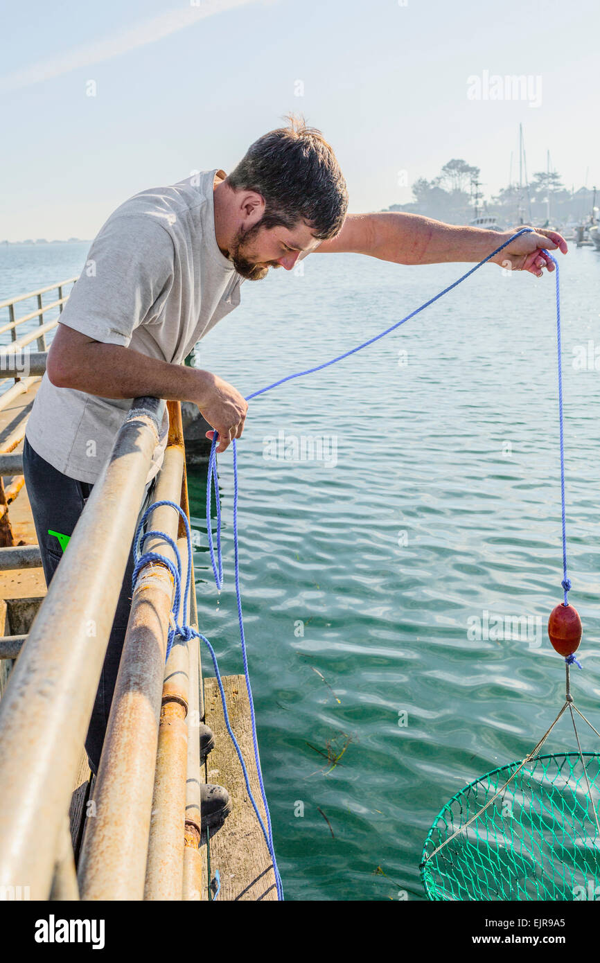 Caucasian man crabbing with net on wooden pier Stock Photo