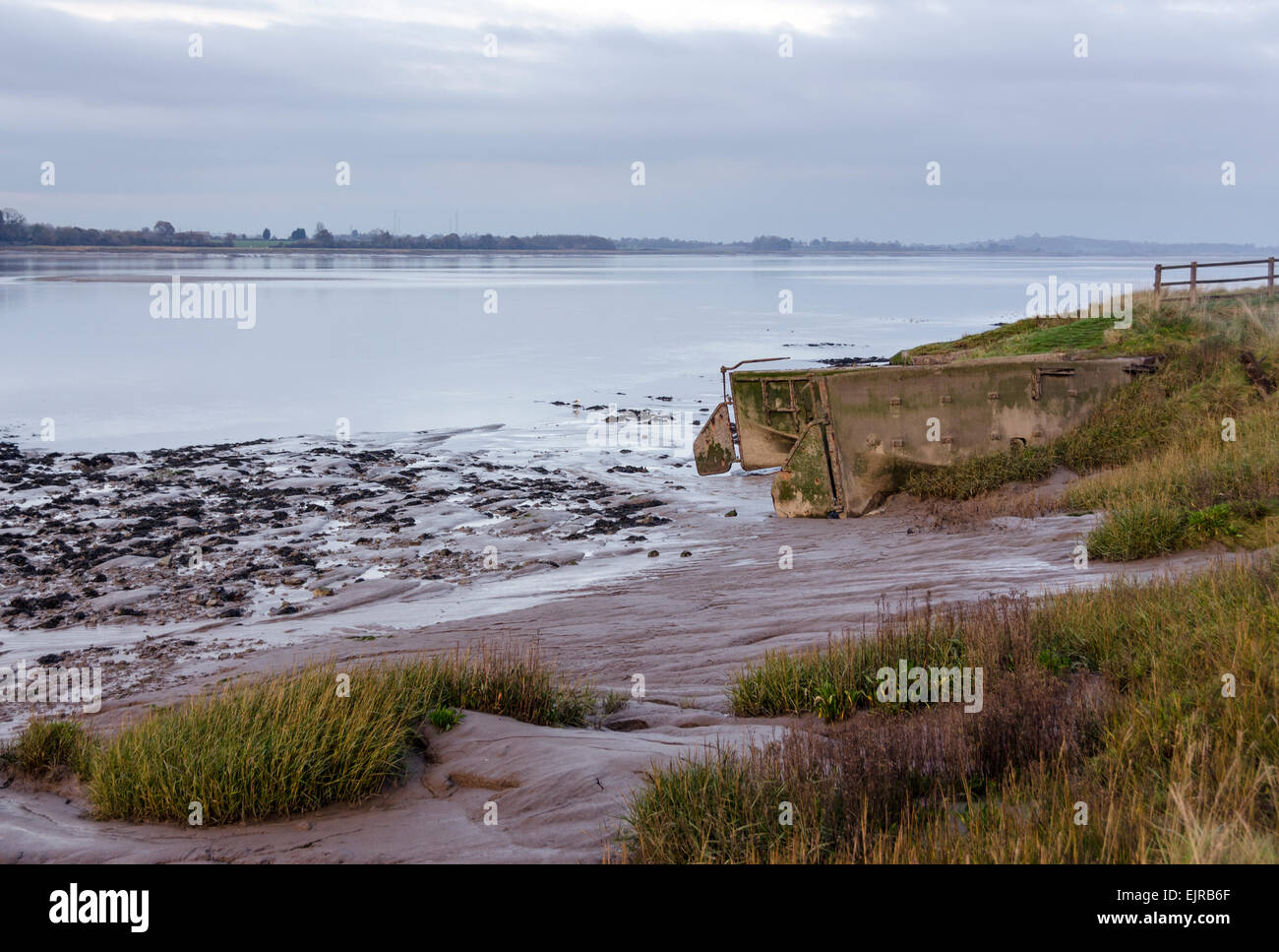Purton Ships Graveyard on the River Severn near Sharpness . Many old barges have been deliberately sunk here to prevent erosion. Stock Photo