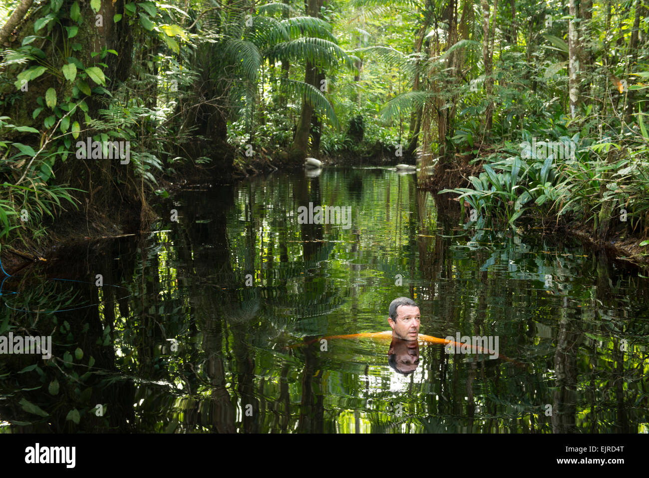 Tourist swimming in a jungle-fringed creek near Paramaribo, Suriname Stock Photo