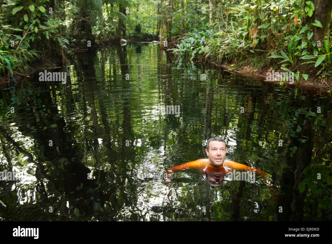 Tourist swimming in a jungle-fringed creek near Paramaribo, Suriname Stock Photo