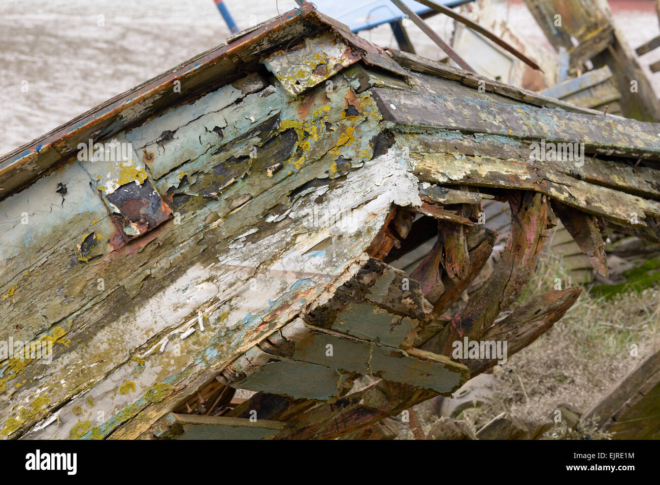 Derelict wooden boat rotting with flaking paint on River Taw