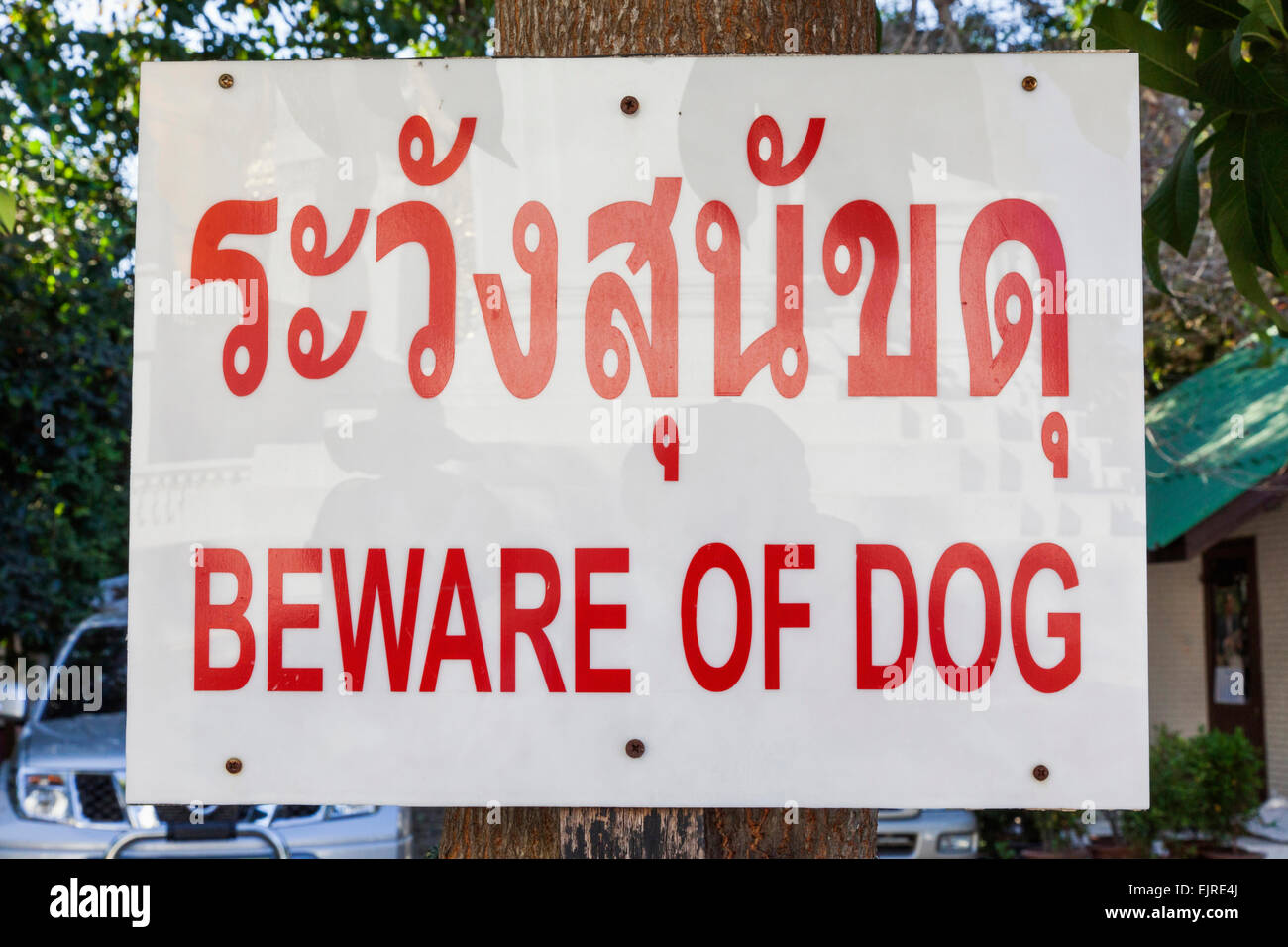 Thailand, Chiang Mai, Beware of Dog Sign in Thai and English Stock Photo