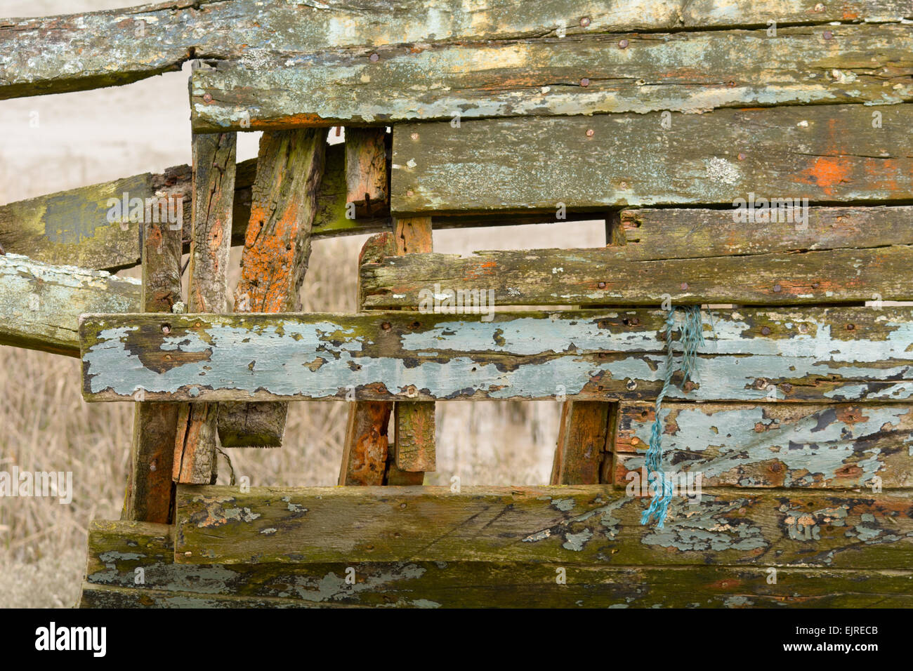 Derelict wooden boat rotting with flaking paint on River Taw