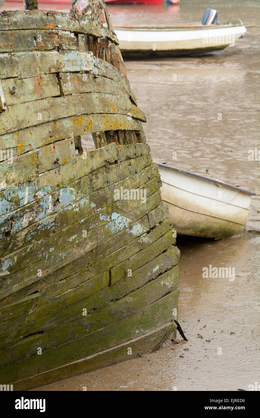 Derelict wooden boat rotting and covered in algae on River Taw