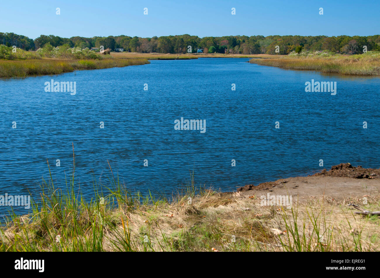 Escape To Menunketesuck Wildlife Refuge: Where Nature’s Symphony Plays On