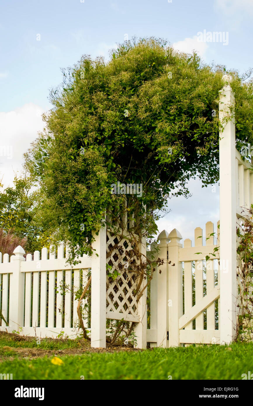 White fence and arbor hi-res stock photography and images - Alamy