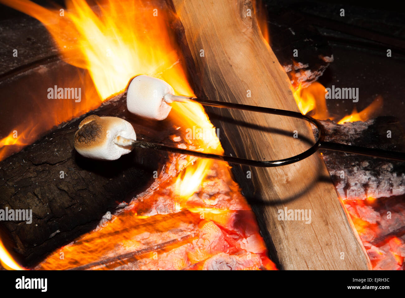 A fire glows brightly in a firepit while marshmallows are roasted. Stock Photo