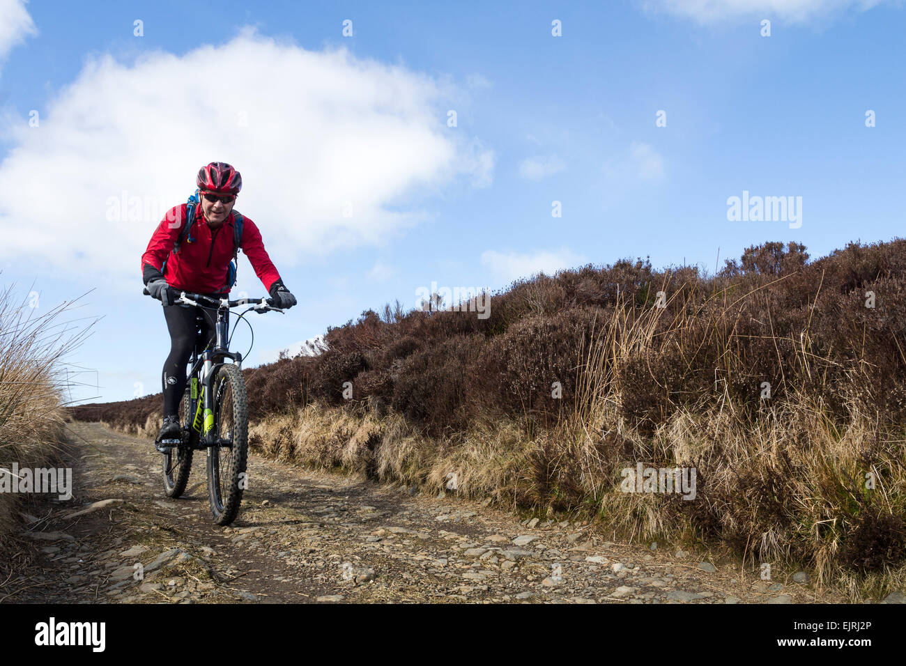 Mountain Biker on the Cumbria Way Bridleway to Skiddaw House Lake District Cumbria England UK Stock Photo